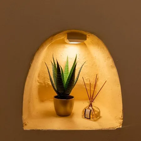 Bambu Setubal